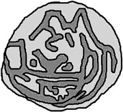 Denier Bracteate - Hermann I reverse image