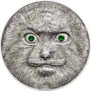 500 Tögrög Otocolobus Manul, Mongolia, 2014 reverse image